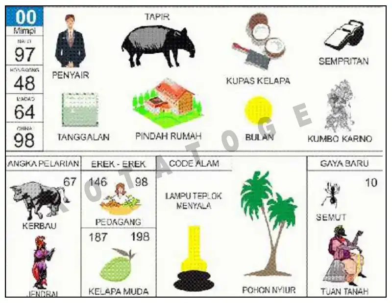 Erek Erek											00