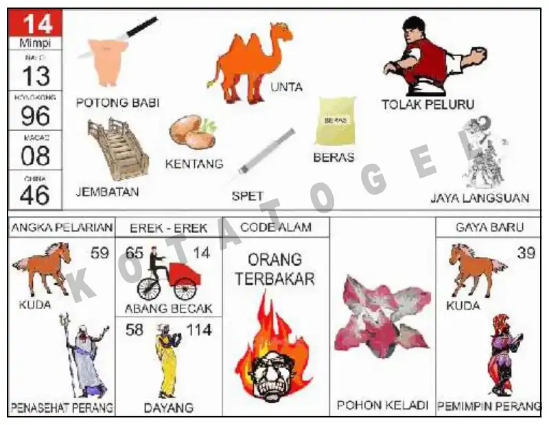 Erek Erek											14