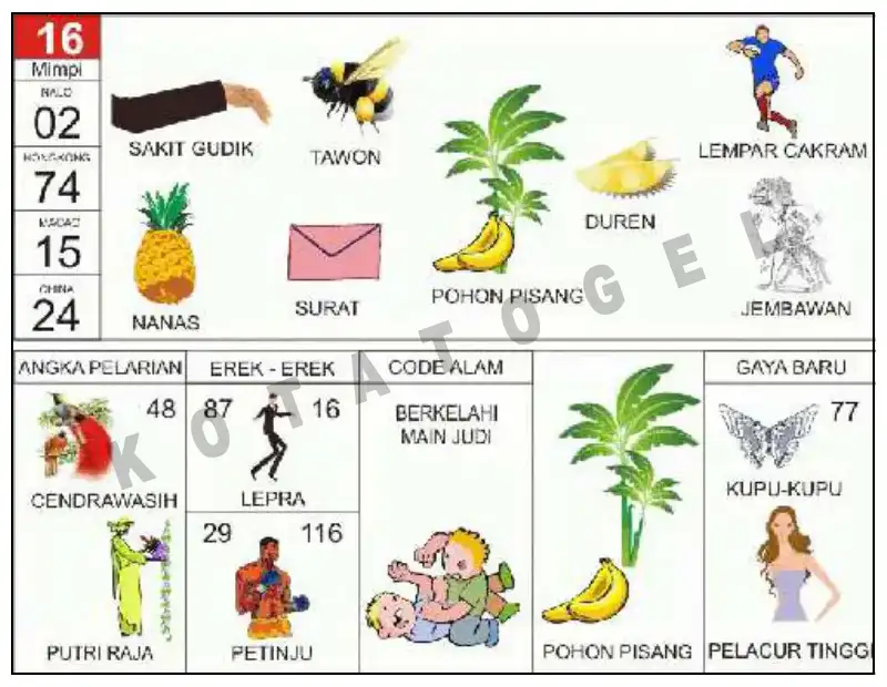 Erek Erek											16