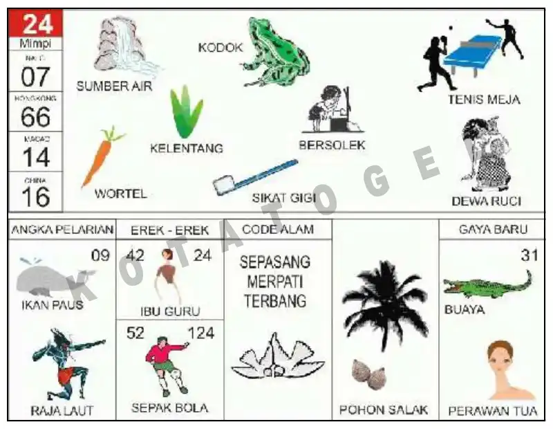 Erek Erek											24