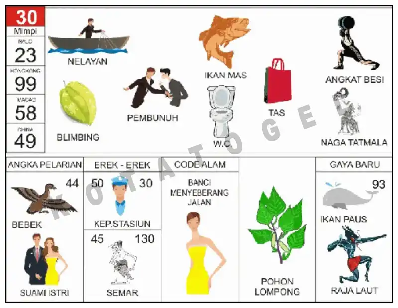 Erek Erek											30