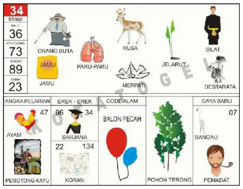 Erek Erek											34