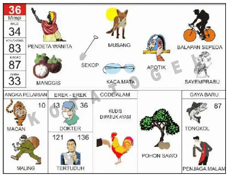 Erek Erek											36