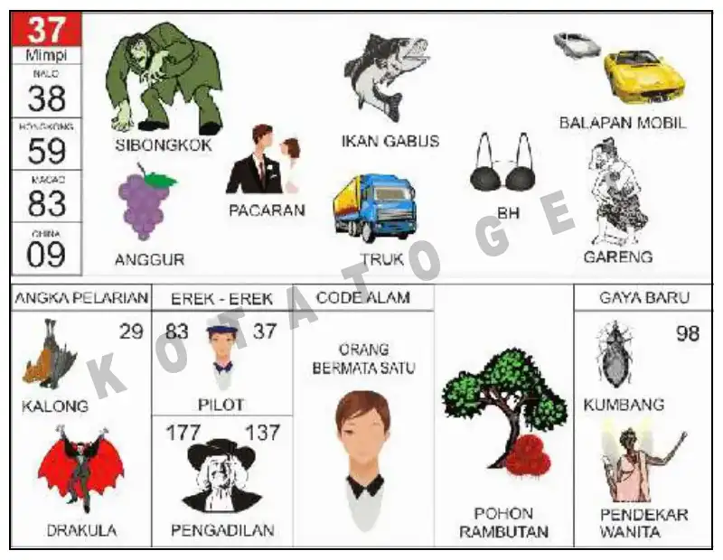 Erek Erek											37