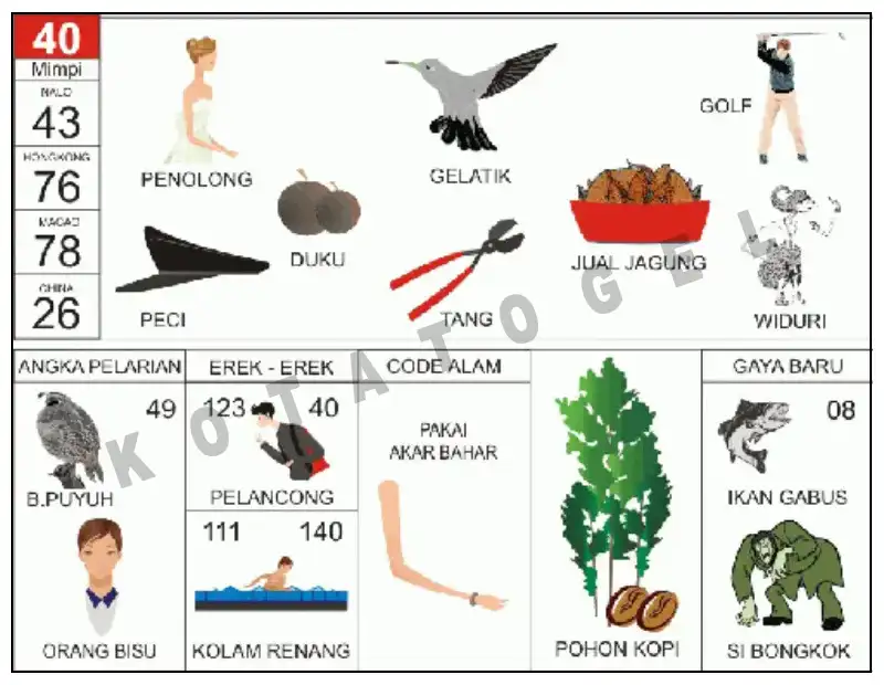 Erek Erek											40