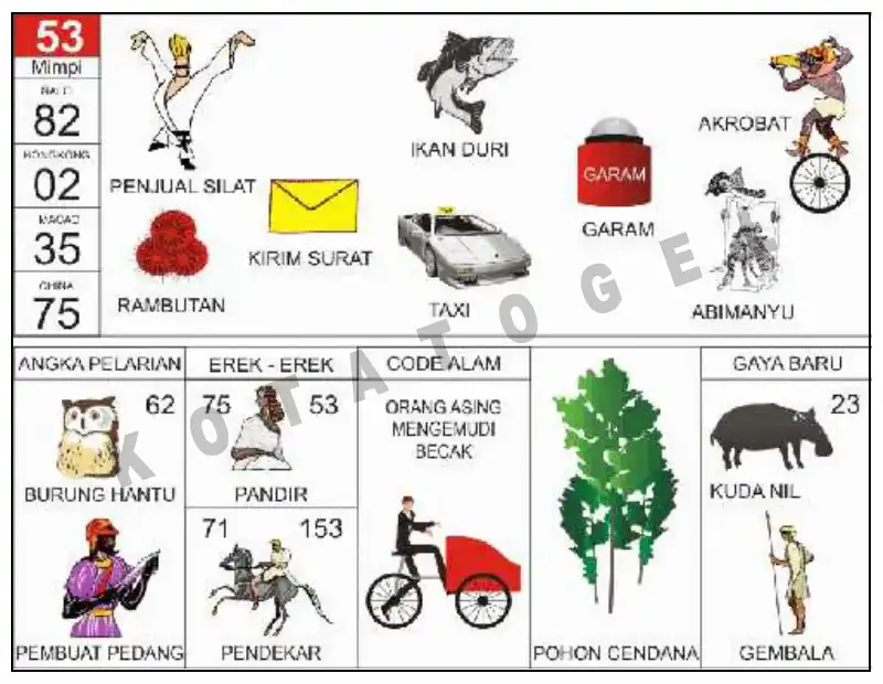 Erek Erek											53