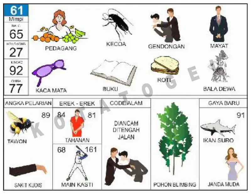 Erek Erek											61