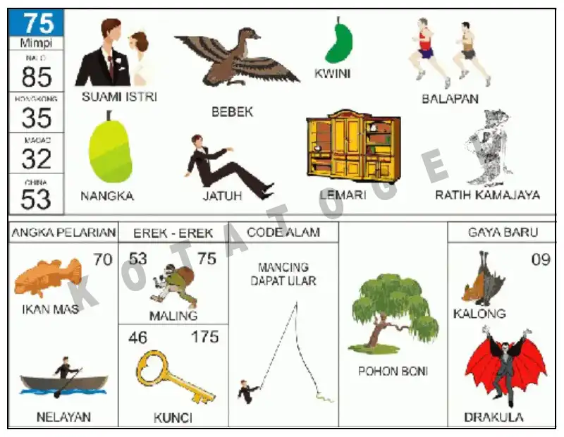 Erek Erek											75