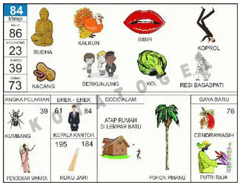 Erek Erek											84