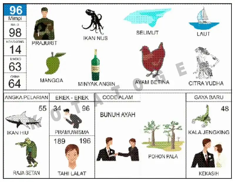 Erek Erek											96